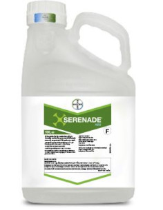 SERENADE ASO LT.5 Miglior Prezzo