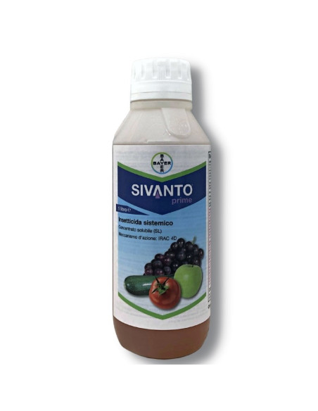 SIVANTO PRIME LT.1 Miglior Prezzo