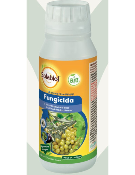 SOLABIOL IDRORAME PFnPE ML.500 Miglior Prezzo