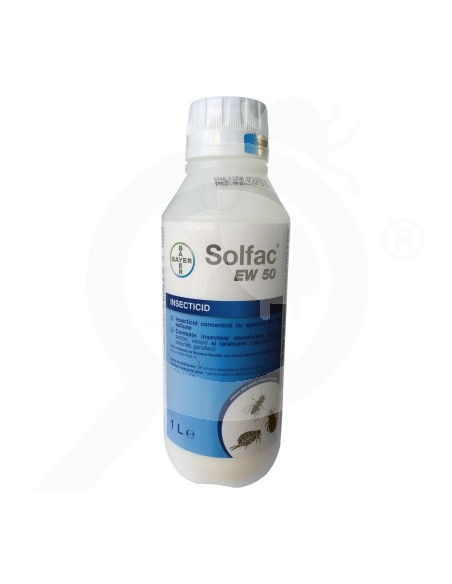 SOLFAC EW 50 LT.1 Miglior Prezzo