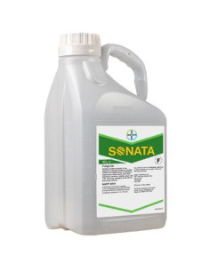 SONATA LT.10 Miglior Prezzo