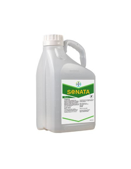 SONATA LT.10 Miglior Prezzo