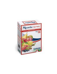 SPADA 50 KG.1 - REVOCATO, richiedi Maggiori Info per email