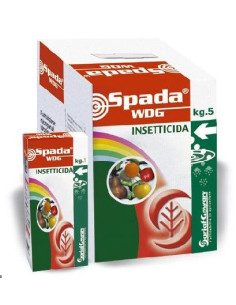 SPADA WDG KG.1 - REVOCATO, richiedi Maggiori Info per email