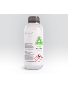 SULTAN LT.1 ( BUTISAN ) Miglior Prezzo