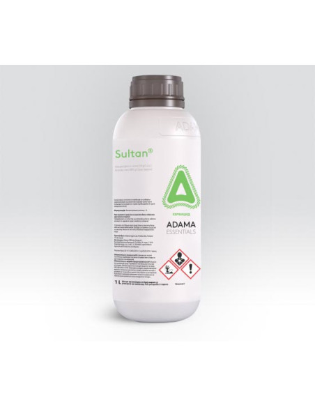 SULTAN LT.1 ( BUTISAN ) Miglior Prezzo