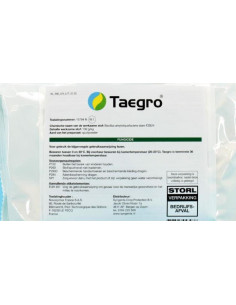 TAEGRO GR.370 Miglior Prezzo