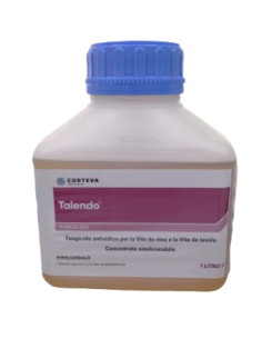 TALENDO LT.1 Miglior Prezzo