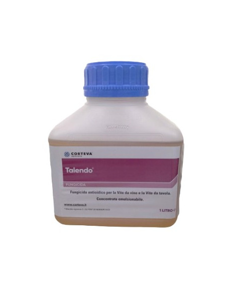 TALENDO LT.1 Miglior Prezzo