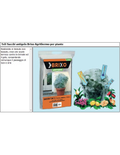 TELO TNT BRIXO AGRITHERMO SACCHI 80X100 CM. 