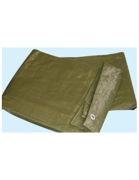 TELONI PLASTICA MT.5/5 VERDE Miglior Prezzo