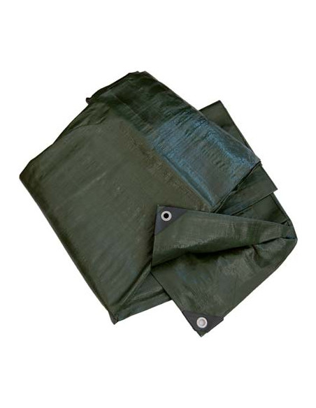 TELONI PLASTICA MT.5/5 VERDEPESANTE Miglior Prezzo