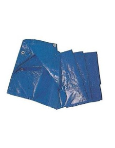 TELONI PLASTICA MT.8/10 BLU' Miglior Prezzo