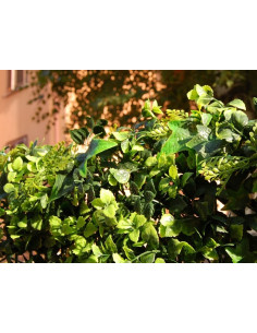 TENAX SIEPE ARTIFICIALE DIVY 3D PANEL PHOTINIA MT 0,5X1 Miglior