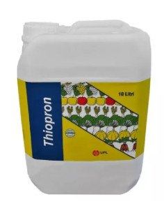 THIOPRON LT.10 - TIOVIT 800 Miglior Prezzo