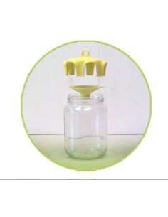 TRAPPOLA PER VASO CALABRONI E VESPE Miglior Prezzo