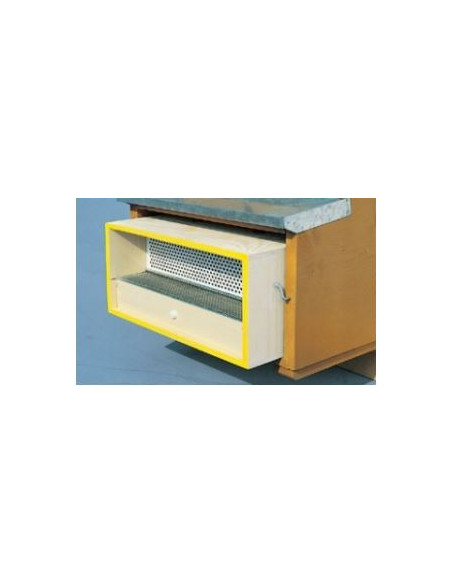 TRAPPOLA RACCOGLI POLLINE Miglior Prezzo