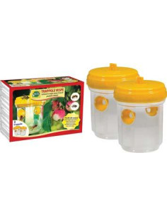 TRAPPOLA VESPE Miglior Prezzo