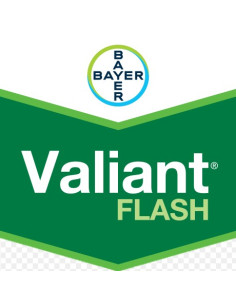 VALIANT FLASH KG.6 Miglior Prezzo