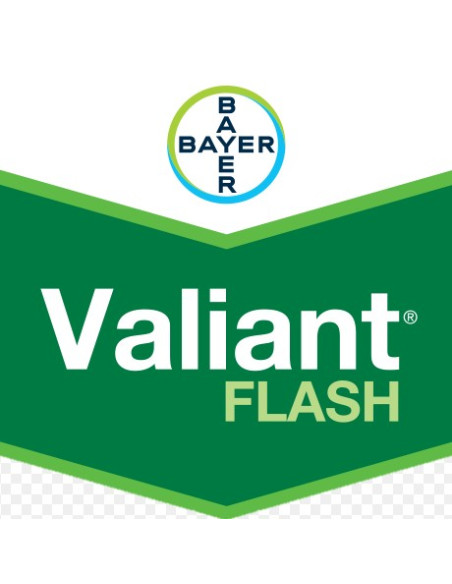 VALIANT FLASH KG.6 Miglior Prezzo