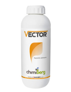 VECTOR BAGNANTE LT.1 Miglior Prezzo