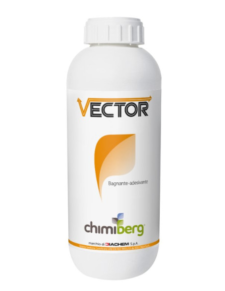 VECTOR BAGNANTE LT.1 Miglior Prezzo