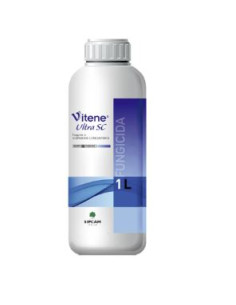 VITENE ULTRA SC LT.1 Miglior Prezzo