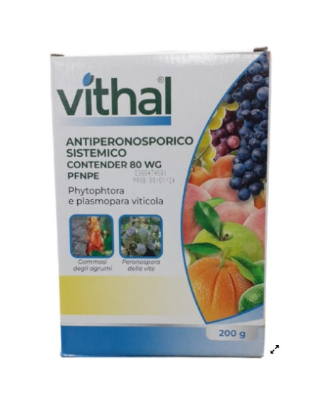 VITHAL ANTIPERONOSPORICO SISTEMICO PFnPE GR 200 Miglior Prezzo