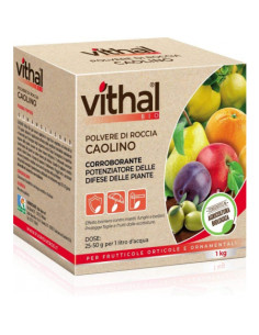 VITHAL BIO CAOLINO KG.1 Miglior Prezzo