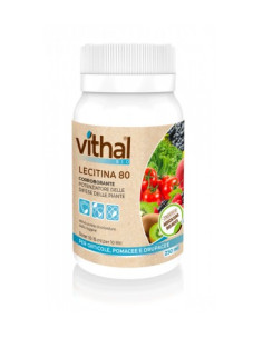 VITHAL BIO LECITINA 80 ML.250 Miglior Prezzo