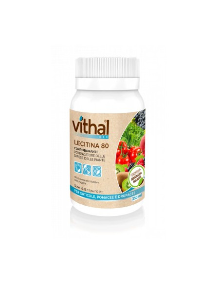 VITHAL BIO LECITINA 80 ML.250 Miglior Prezzo