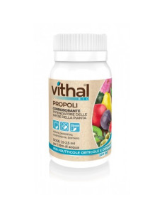 VITHAL BIO PROPOLI ML.250 Miglior Prezzo