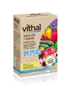 VITHAL BIO ZEOLITE + RAME KG.1 Miglior Prezzo