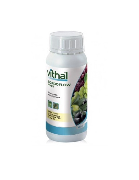 VITHAL BORDOFLOW PFnPE ML.800 Miglior Prezzo