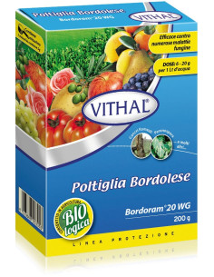 VITHAL BORDORAM 20 WG PFnPE GR.500 Miglior Prezzo