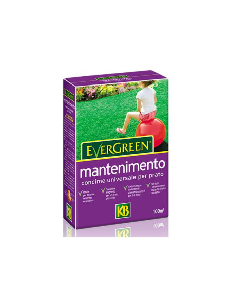 VITHAL Evergreen Mantenimento Kg.2 Miglior Prezzo