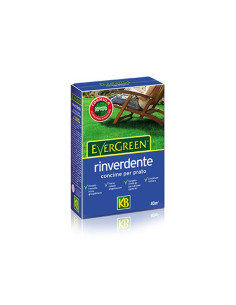 VITHAL Evergreen Rinverdente Kg.2 Miglior Prezzo