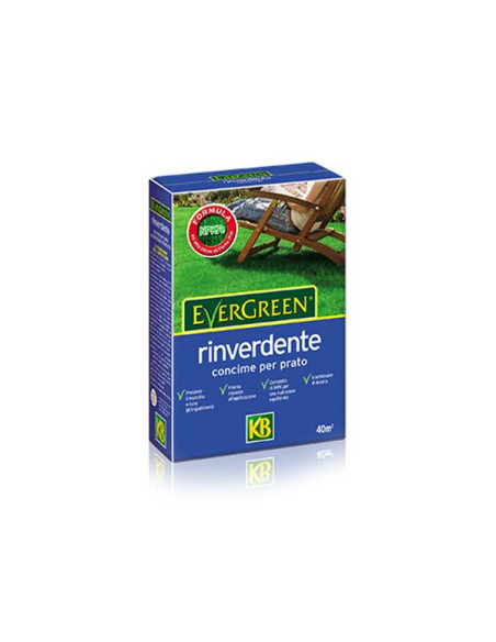 VITHAL Evergreen Rinverdente Kg.2 Miglior Prezzo