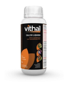 VITHAL EXPERT CALCIO LIQUIDO LT.1 Miglior Prezzo