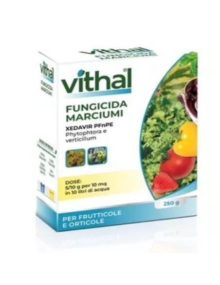 VITHAL FUNGICIDA NATURALE MARCIUMI XEDAVIR PFnPE GR.250 Miglior