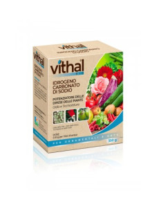 VITHAL IDROGENO CARBONATO DI SODIO GR.350 Miglior Prezzo