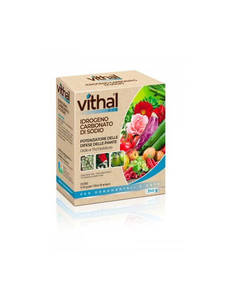 VITHAL IDROGENO CARBONATO DI SODIO GR.350 Miglior Prezzo