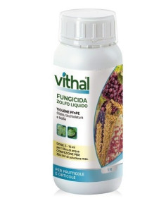 VITHAL ZOLFO LIQUIDO PFnPE LT.1 Miglior Prezzo