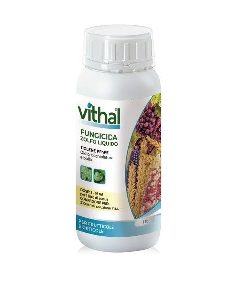 VITHAL ZOLFO LIQUIDO PFnPE LT.1 Miglior Prezzo