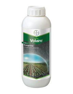 VOLARE LT.1 Miglior Prezzo