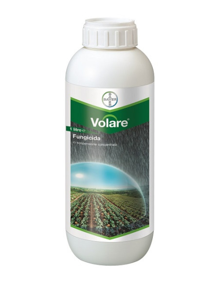 VOLARE LT.1 Miglior Prezzo