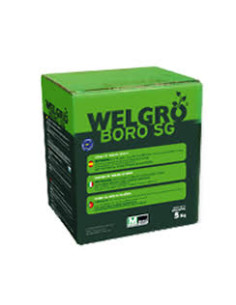 WELGRO BORO 18 SG KG.5 Miglior Prezzo