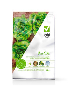 ZEOLITE VEBI BIO POLVERE KG.1 Miglior Prezzo