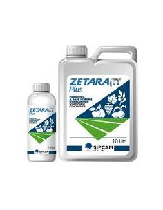 ZETARAM PLUS LT.10 Miglior Prezzo