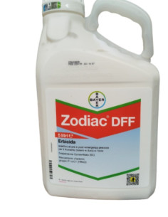 ZODIAC DFF LT.5 Miglior Prezzo